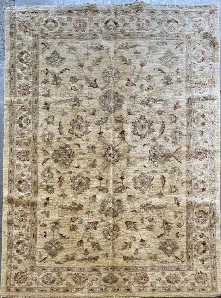 One Of The Kind Pakistani Hand-Knotted Rug 6'0" x 6'8"