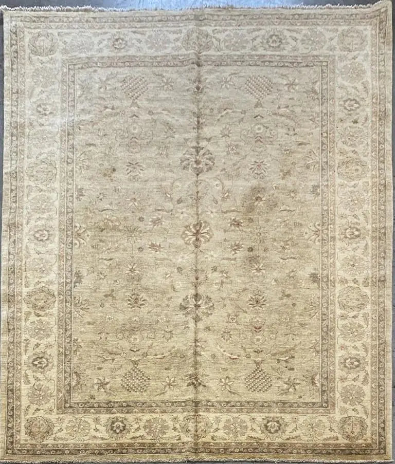One Of The Kind Pakistani Hand-Knotted Rug 9'11" x 8'3"