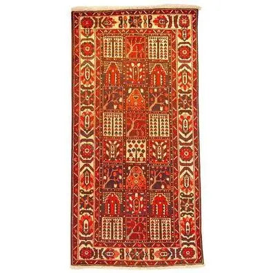 One Of The Kind Persian Bakhtiar Rug 10'2" x 5'0"