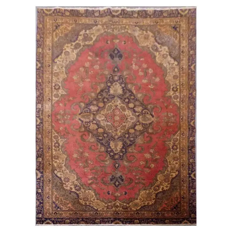 P1090836 Medium 8d614b82 b938 47a5 ae32 296df697e293