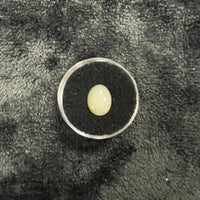 AAA+ Certified Natural Australian 1 Piece Oval Shaped Gray Opal Gemstone, Weight: 1.56, Size: 9x11 ABC Jewelries
