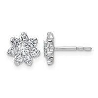 14kw 3/4ct Lab Grown Diamond VS+ F+ Post Floral Complete Earrings