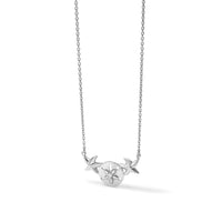 Sterling Silver Rhodium-Plated Sand Dollar & Starfish 16.5 +2in Necklace