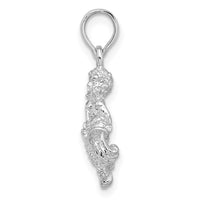 Sterling Silver Rhodium-plated Polished 3D Aquarius Zodiac Pendant