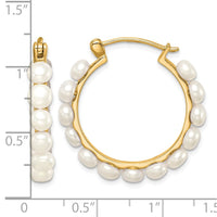 Sterling Silver Gold-plated 4-5mm FWC Pearl Hoop Earrings