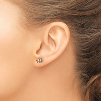 Sterling Silver Polished Enameled Clown Fish Post Earrings