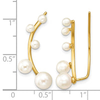 Sterling Silver Gold-plated White 3-6mm FWC Pearl Ear Climber Earrings