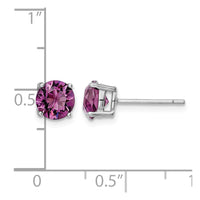 Sterling Silver Rhodium-plated Purple Crystal Birthstone Earrings