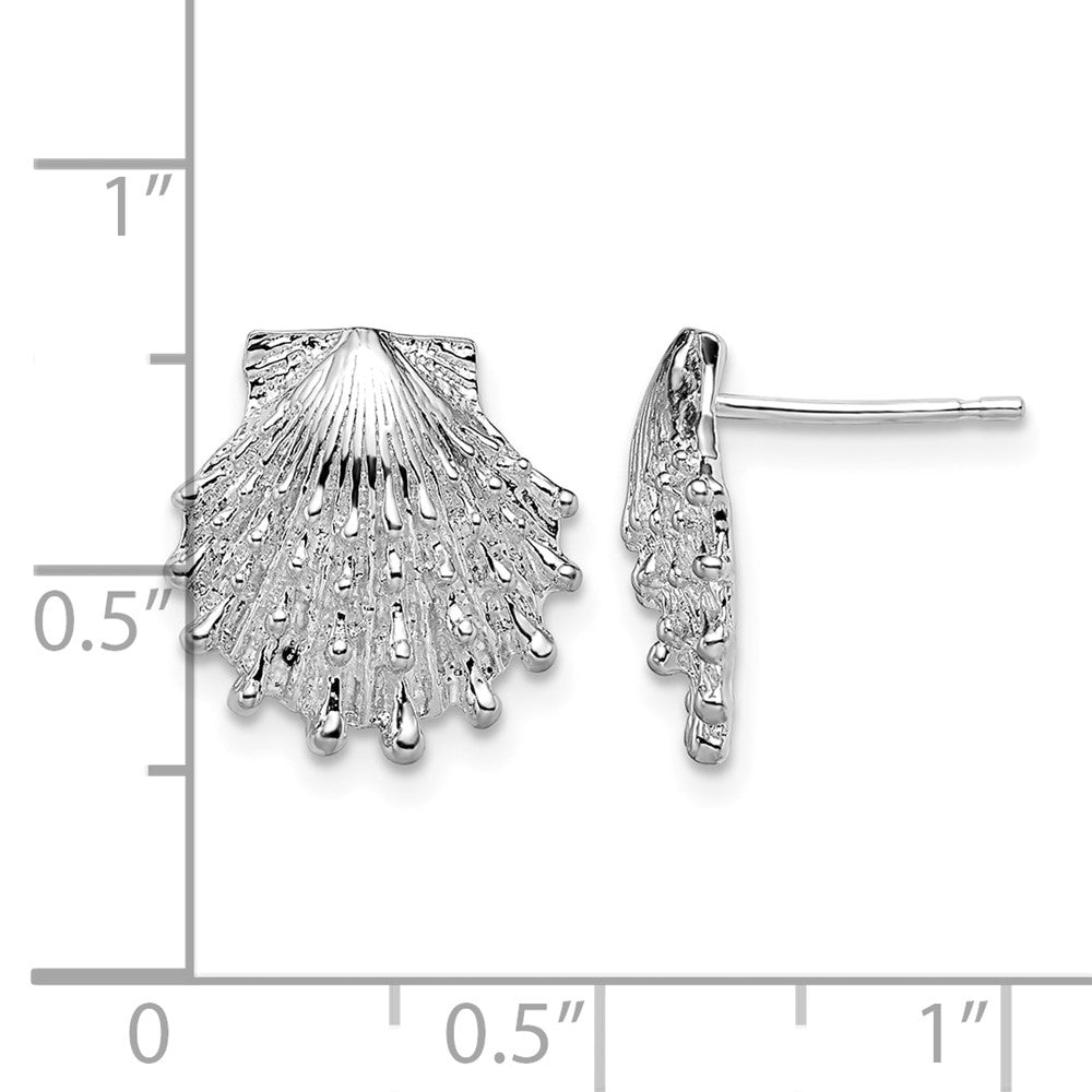 Sterling Silver Rhodium-plated Polished Lions Paw Shell Post Earrings