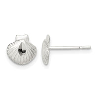 Sterling Silver Shell Mini Earrings
