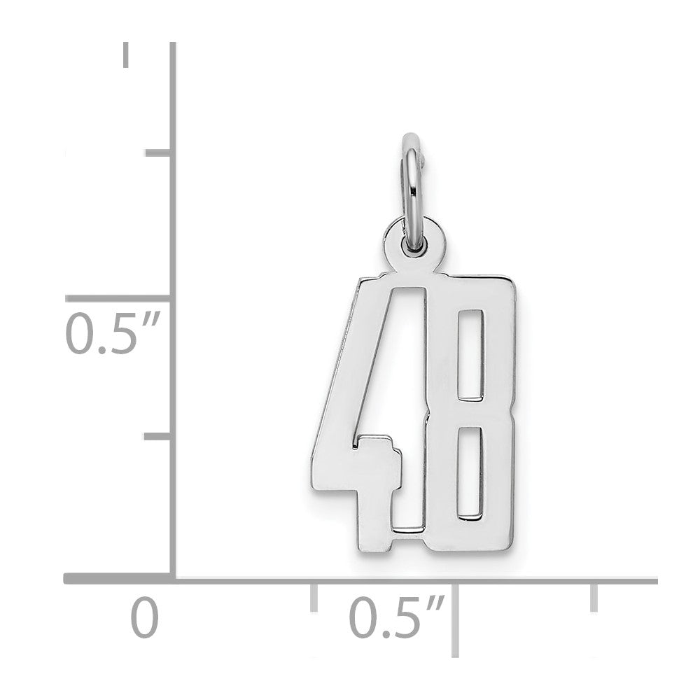 Sterling Silver/Rhodium-plated Elongated Number 48 Charm