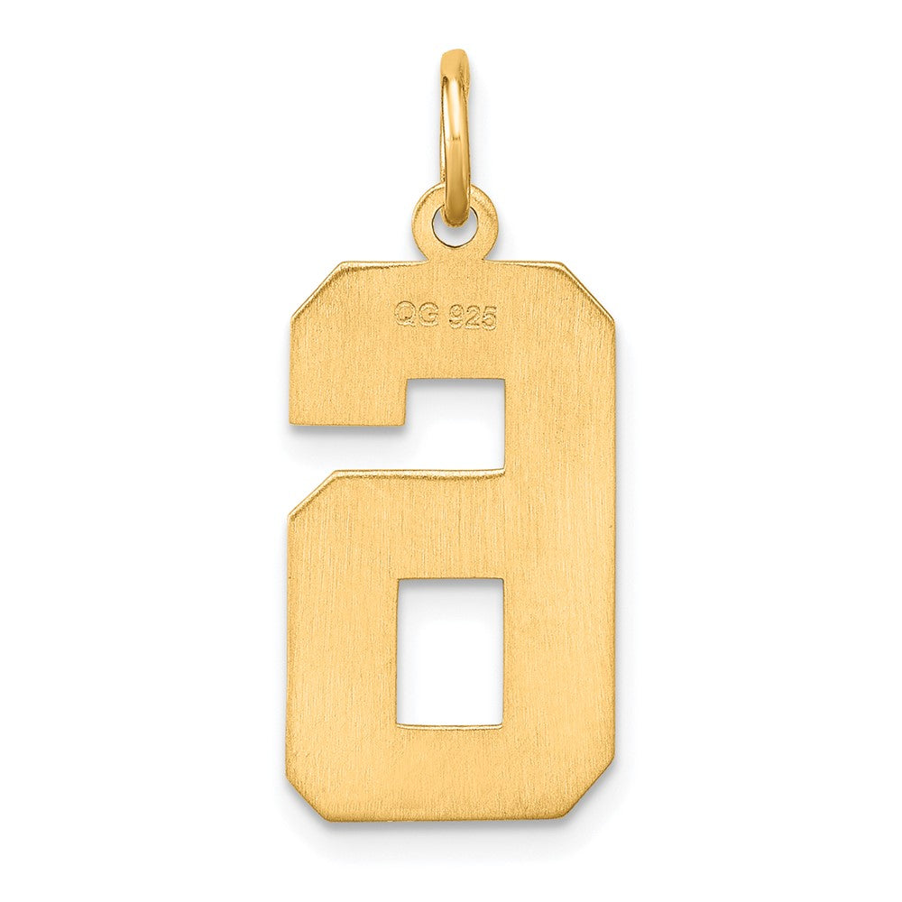Sterling Silver Gold-plated Large Diamond-cut #6 Charm