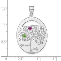SSilver/Rhod-plated 2 Birthstone w/SSilver Bezel Family Pendant