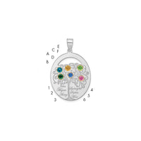 Sterling Silver/Rhod-plated 6 Birthstone w/ 14k Bezel Family Pendant