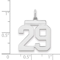 Sterling/Silver Rhodium-plated Polished Number 29 Charm