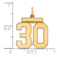 Sterling Silver Gold-plated Medium Polished Number 30 Charm