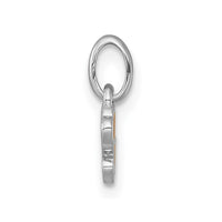 Sterling Silver Rhodium-plated Enamel Flower Heart Petite Pendant