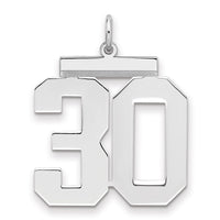 Sterling Silver/Rhodium-plated Polished Number 30 Charm