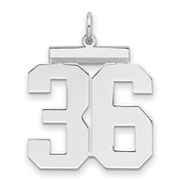 Sterling Silver/Rhodium-plated Polished Number 36 Charm