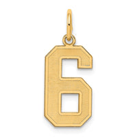 Sterling Silver/Gold-plated Satin Number 6 Charm