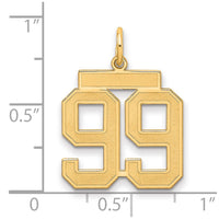 Sterling Silver/Gold-plated Satin Number 99 Charm