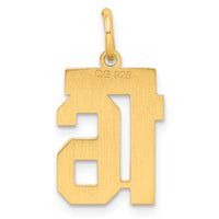 Sterling Silver/Gold-plated Satin Number 16 Charm