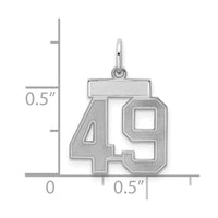 Sterling Silver/Rhodium-plated Satin Number 49 Charm