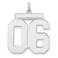 Sterling Silver/Rhodium-plated Polished Number 06 Charm