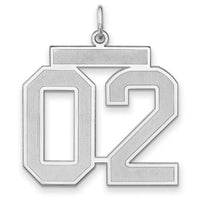 Sterling Silver/Rhodium-plated Satin Number 02 Charm