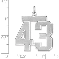 Sterling Silver/Rhodium-plated Satin Number 43 Charm