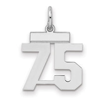 Sterling Silver/Rhodium-plated Polished Number 75 Charm