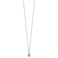SS Polished Enameled Turtle 14 Inch Necklace and Post Earring Set