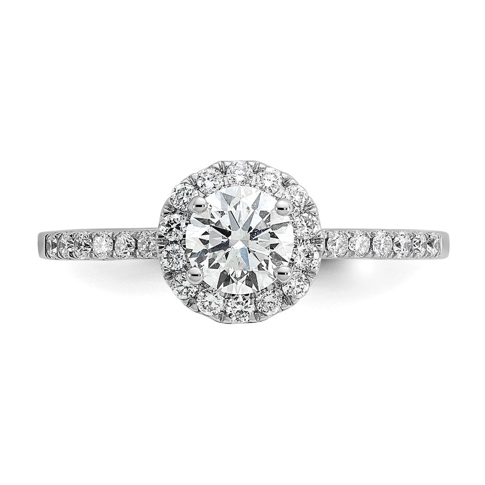 14kw 3/4ct Lab Grown Diamond VS/SI+ G+ Complete Size 8 Halo Eng Ring
