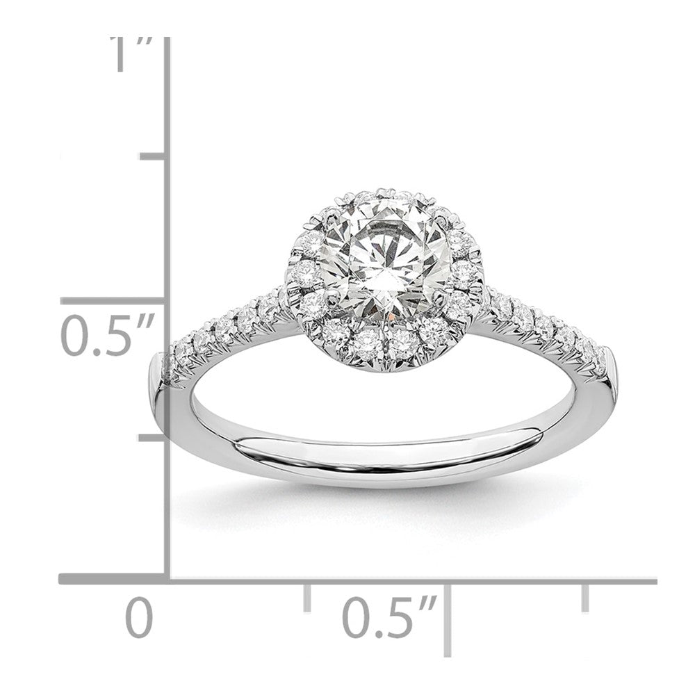 14k White Gold 3/4 ct Lab Grown Dia VS/SI+ G+ Comp Size 8 Halo Eng Ring