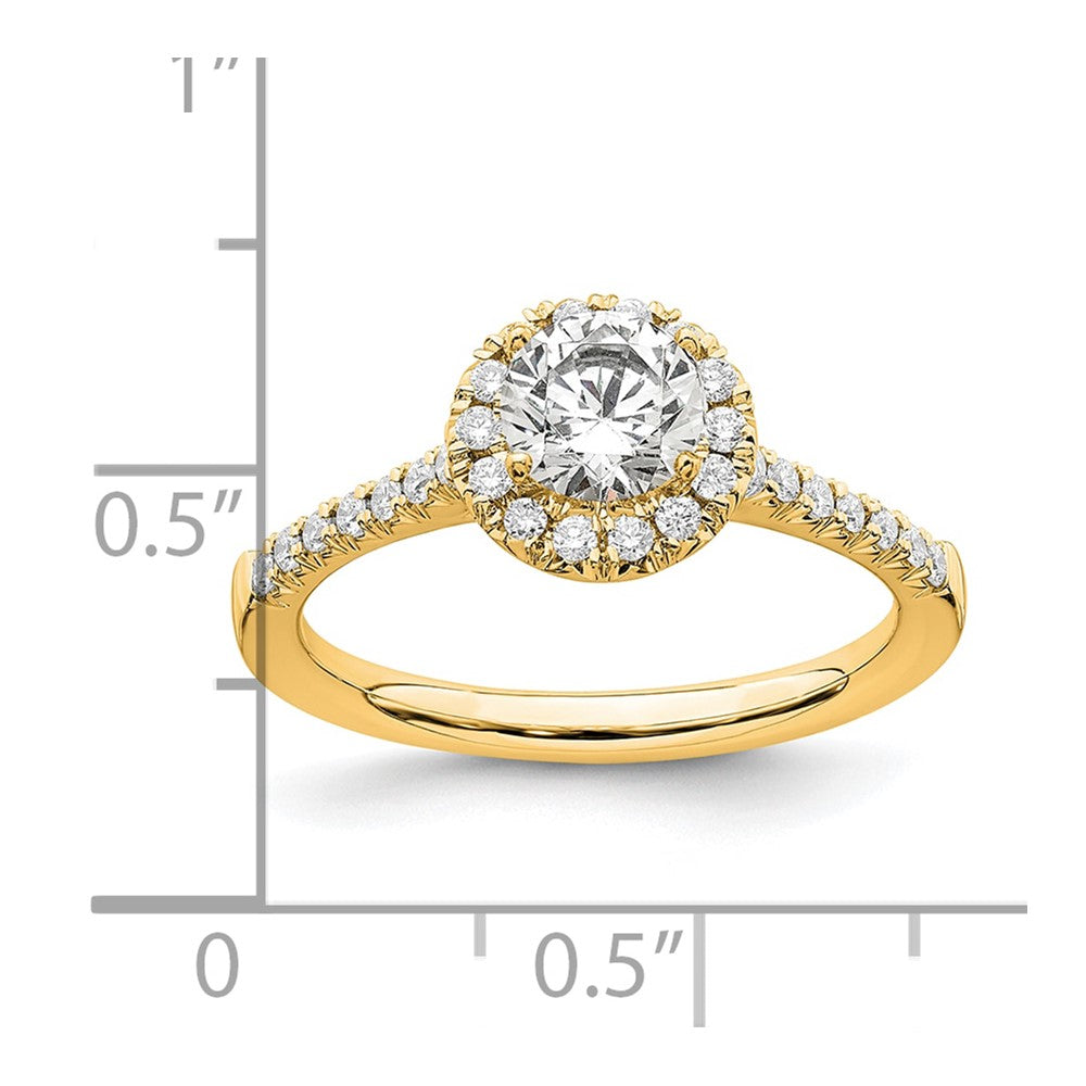 14k 3/4 ct Lab Grown Diamond VS/SI+ G+ Round Comp Size 9 Halo Eng Ring