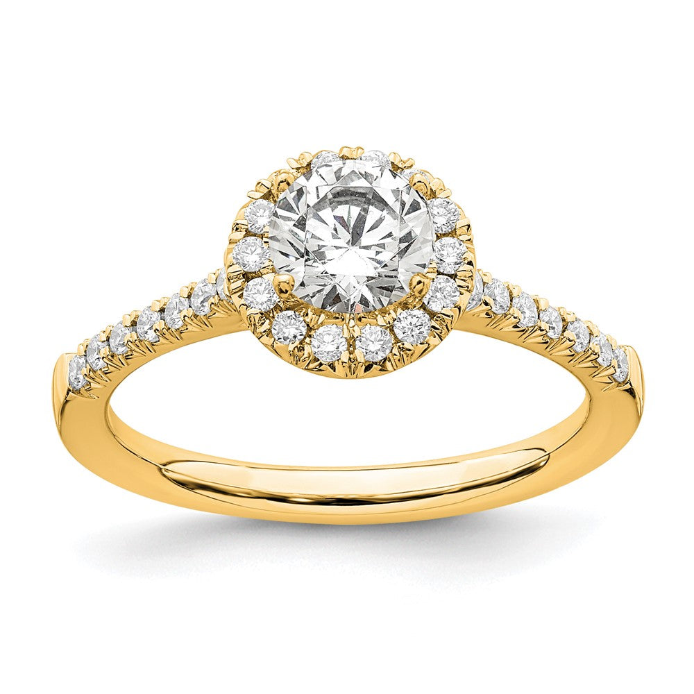 14k 3/4 ct Lab Grown Diamond VS/SI+ G+ Round Comp Size 9 Halo Eng Ring
