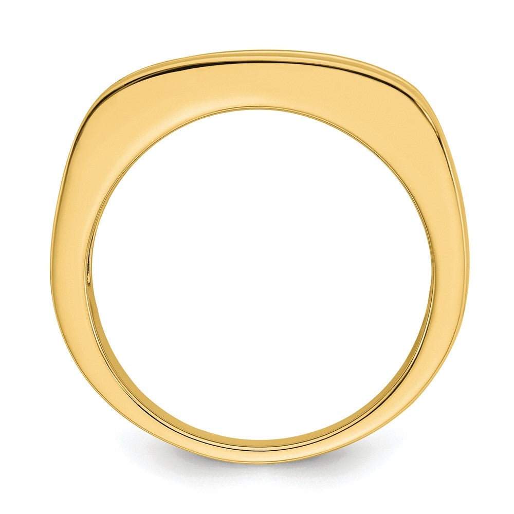 IBGoodman 10k 3/4 ct Lab Grown Diamond VS/SI+ G+ Complete Men's Band