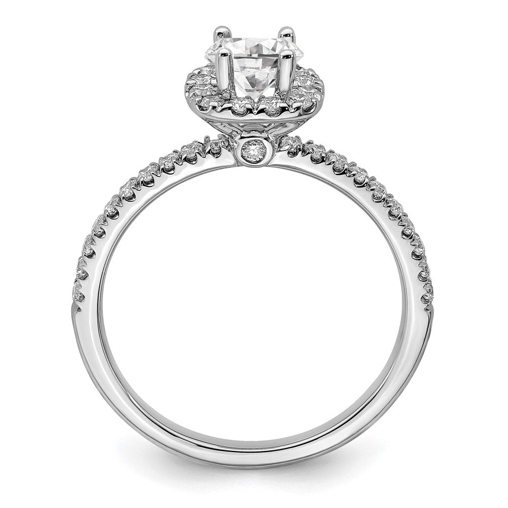 14kw 3/4ct Lab Grown Diamond VS/SI+ G+ Complete Round Halo Eng Ring