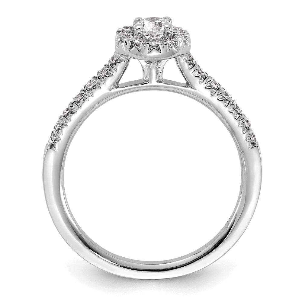 14k White Gold 1/2ct Lab Grown Dia VS/SI+ G+ Round Comp Halo Eng Ring