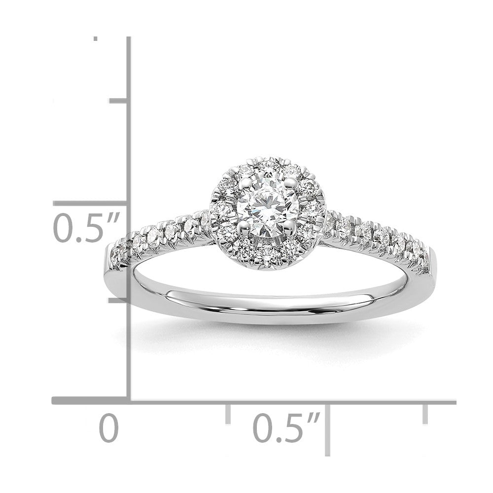 14k White Gold 1/2ct Lab Grown Dia VS/SI+ G+ Round Comp Halo Eng Ring