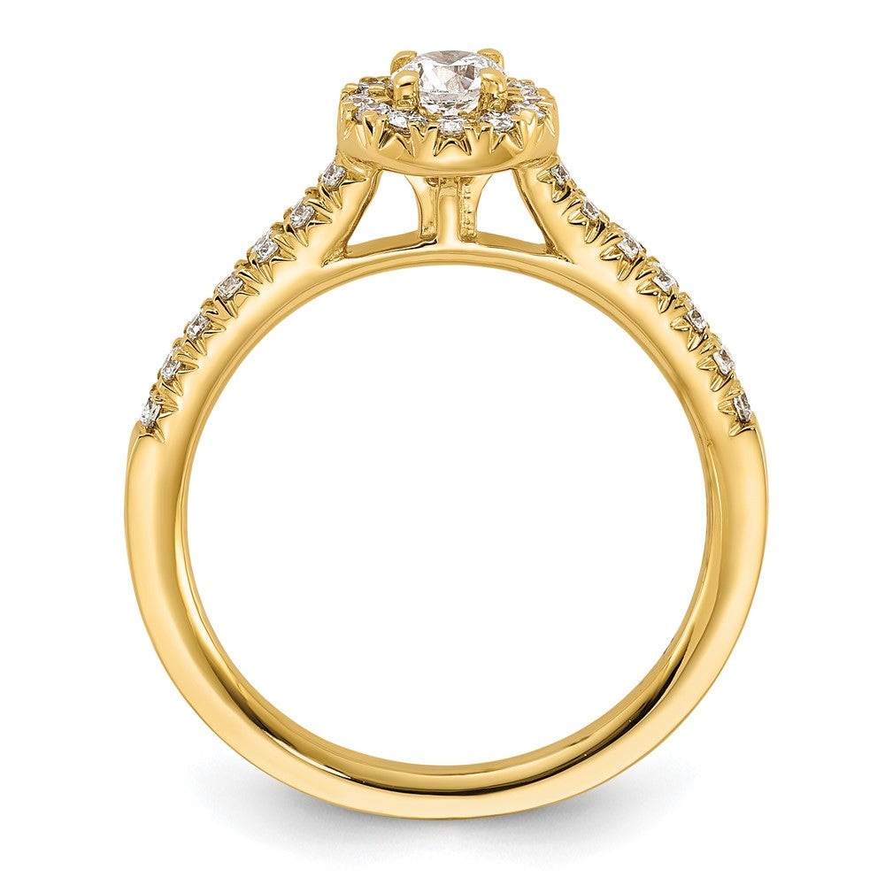 14k 1/2ct Lab Grown Diamond VS/SI+ G+ Round Comp Halo Eng Ring