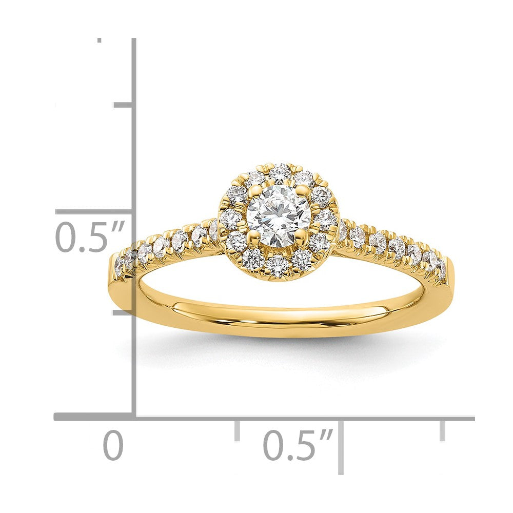 14k 1/2ct Lab Grown Diamond VS/SI+ G+ Round Comp Halo Eng Ring