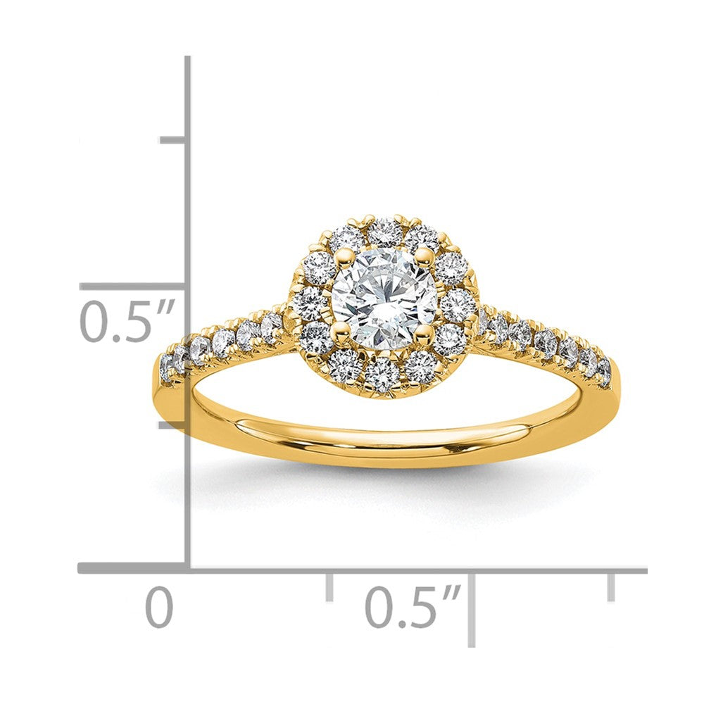 14k 3/4ct Lab Grown Diamond VS/SI+ G+ Round Comp Halo Eng Ring