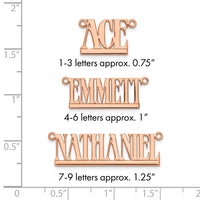 14k Rose Gold Underlined Name Plate