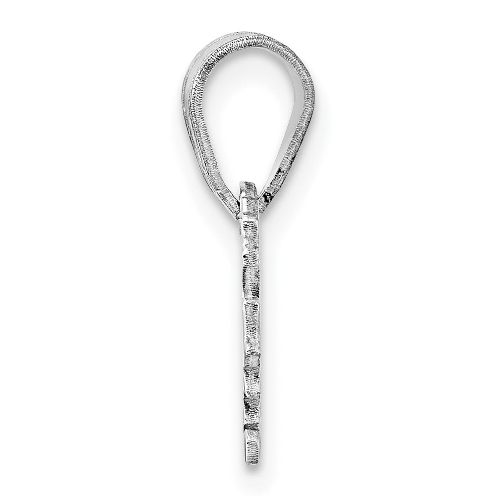 Sterling Silver/Rhodium-plated Virginia State Pendant