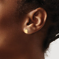 14KY Arizona State Earrings