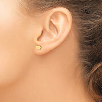 Sterling Silver/Gold-plated Iowa State Earrings