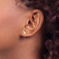 14KY Idaho State Earrings