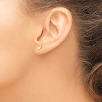 Sterling Silver/Gold-plated Ohio State Earrings