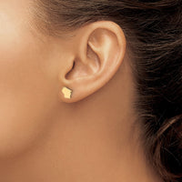14KY Wisconsin State Earrings